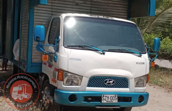 mudanzas pereira express